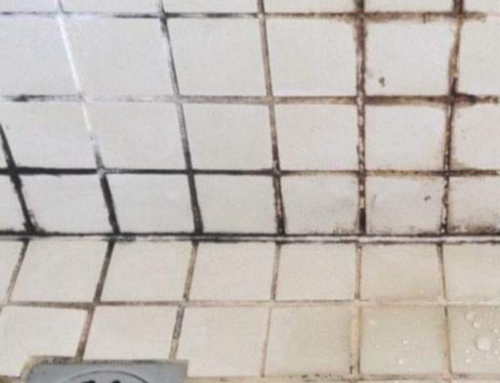 Why is the Grout Failing in my Shower?