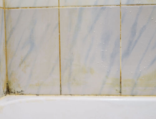 How Grout Sealing Improves the Durability of Your Tile Project