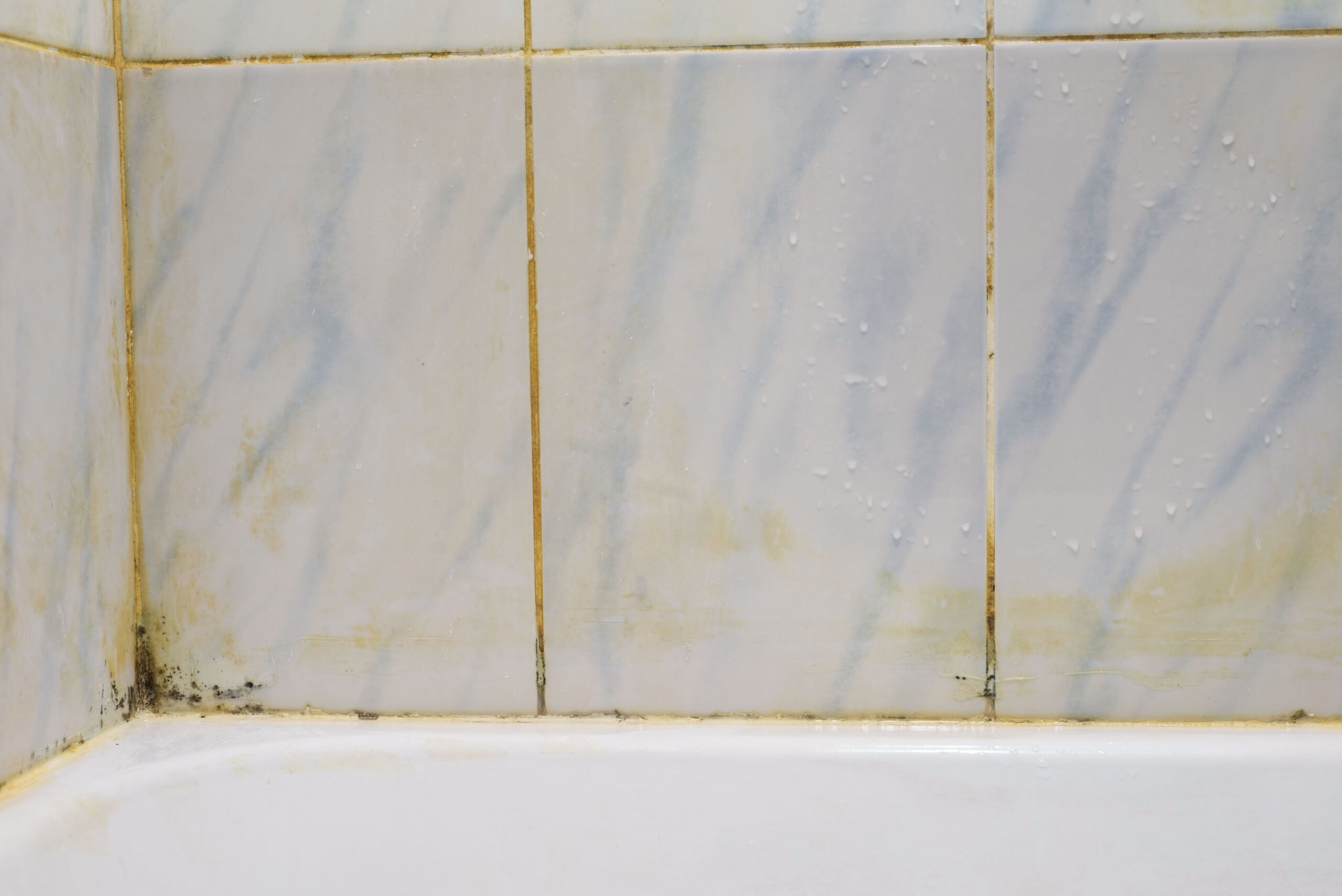 Grout sealing prevents mold and mildew