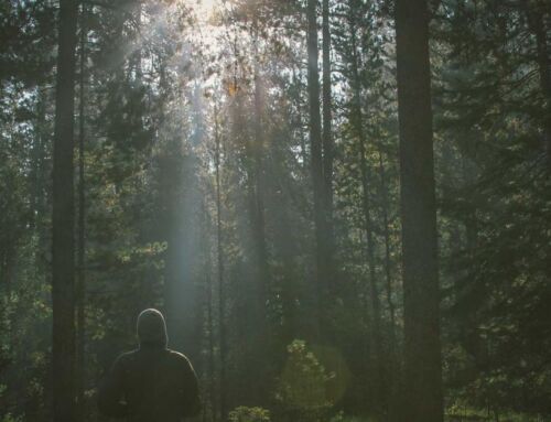 How Professional Grout Sealing Protects Your Boise Home’s Tile Long-Term