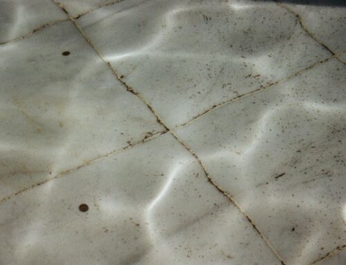 Tile and Grout Maintenance: Extending the Life of Your Boise Home’s Surfaces